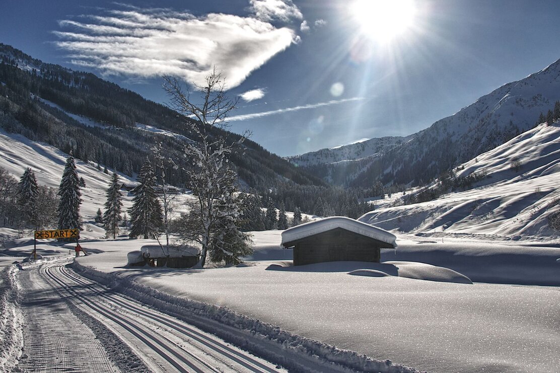 Langlaufen Schönangeralm Wildschönau.jpg | © Wildschönau Tourismus