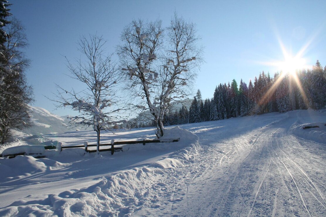 Wildschönau Auffach Bernau | © Wildschönau Tourismus